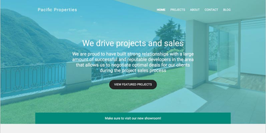 Real Estate Website